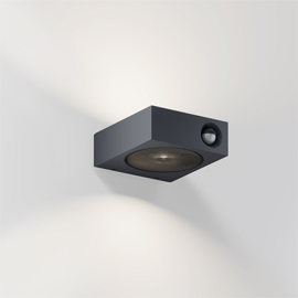 Luci Control Outdoor Wall Light